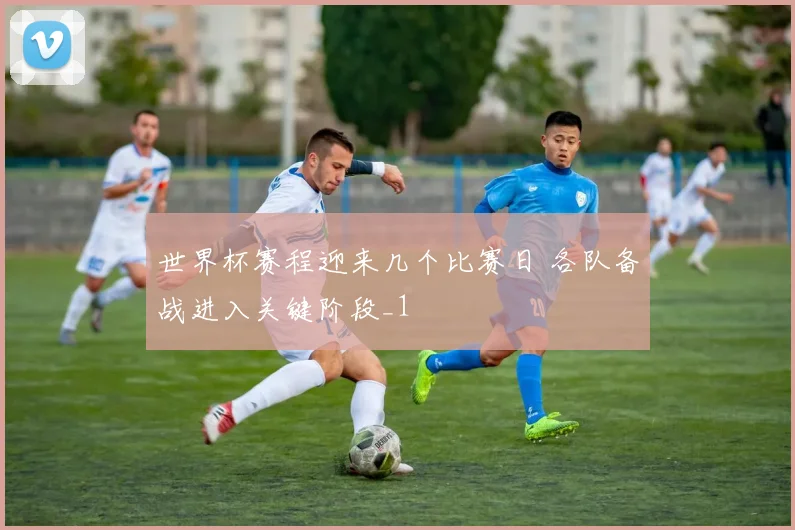 世界杯赛程迎来几个比赛日 各队备战进入关键阶段_1